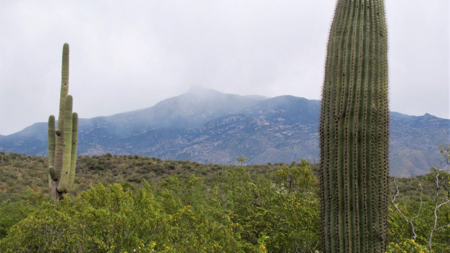 Rainy weather making its way to the Old Pueblo